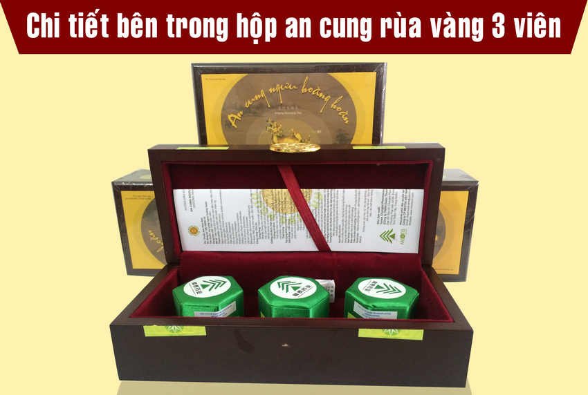 An Cung Ngưu Hoàng Hoàn Rùa Vàng Thuốc Điều Trị Bệnh Tai Biến Mạch Máu Não