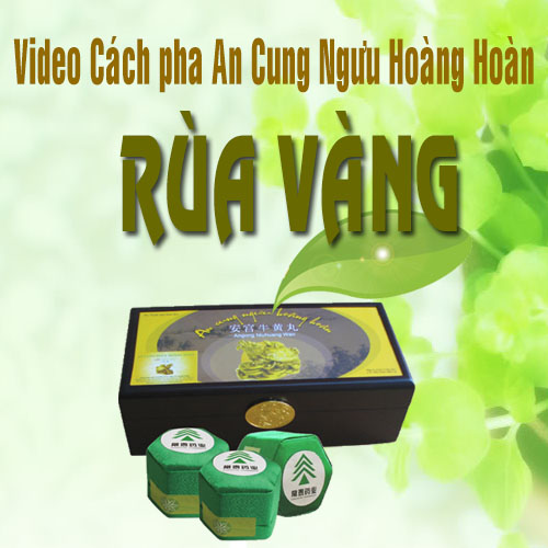 Cách Pha Thuốc An Cung Ngưu Hoàng Hoàn Rùa Vàng 