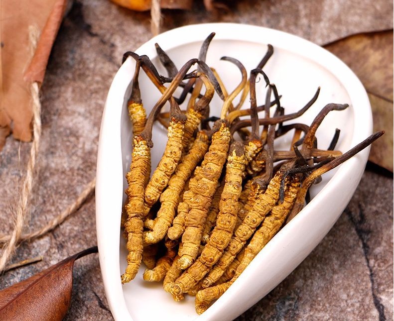 Đông Trùng Hạ Thảo Thiên Nhiên Tây Tạng Loại Khô Đặc Biệt 14 Con/10g