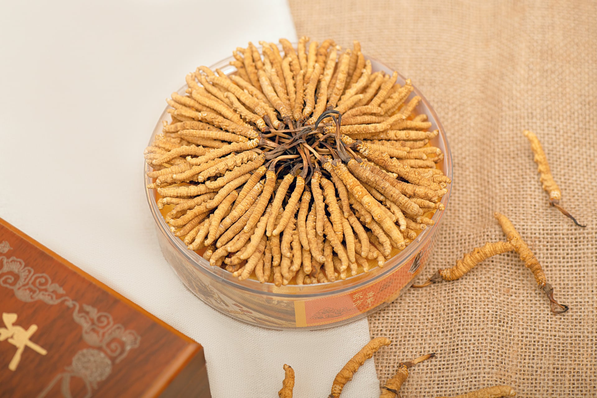 Đông Trùng Hạ Thảo Thiên Nhiên Tây Tạng Loại Khô 20 Con/10g