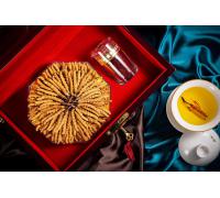 Đông Trùng Hạ Thảo Thiên Nhiên Tây Tạng Loại Khô 50 Con/10g